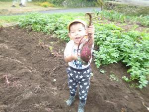 象みたいな形の芋と男の子